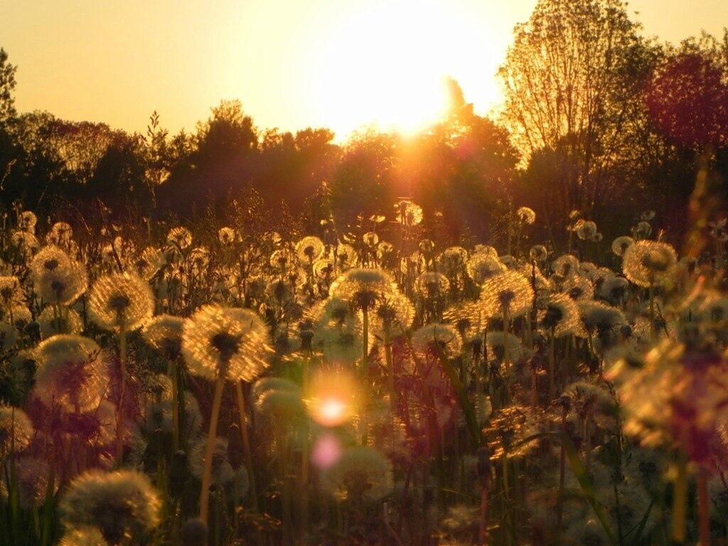 "Покоя" (27.08.2021)