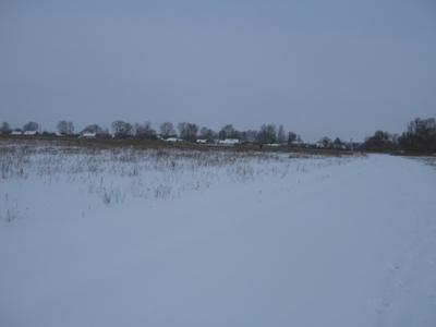 В родном краю