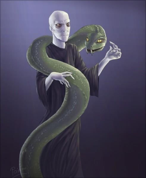 Наблюдатель