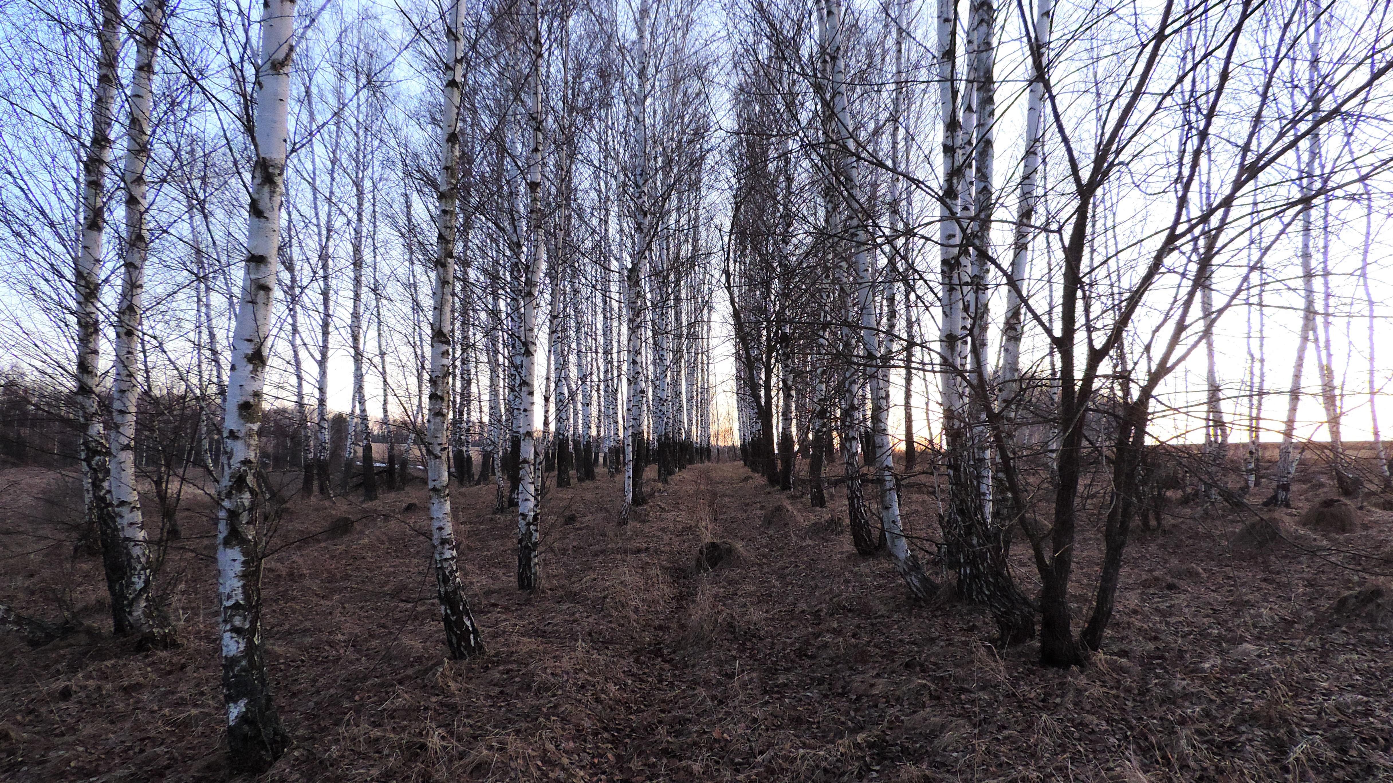 Фотоаппарат взял вчера...