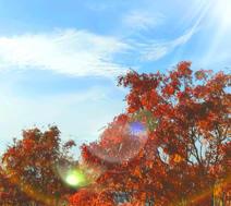 После здесь буду не я