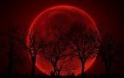 Кровавая луна