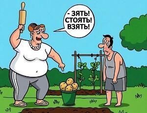 Но тёще зять такой на кой? /микс/