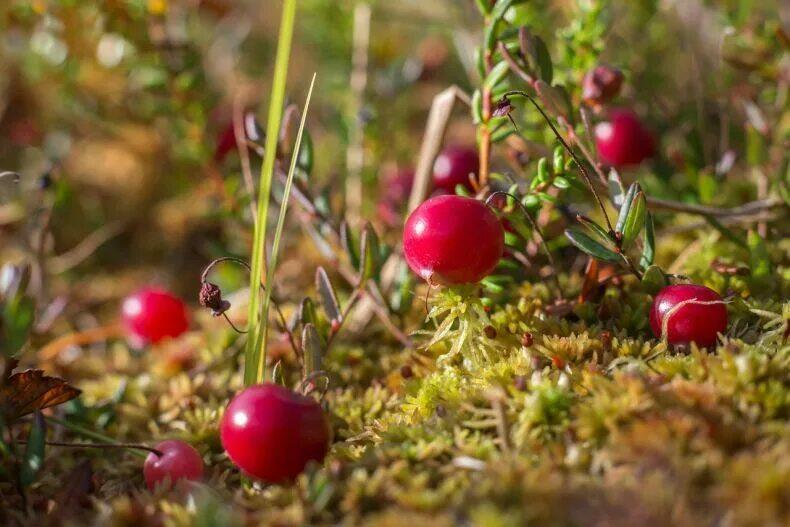 Трудно верить