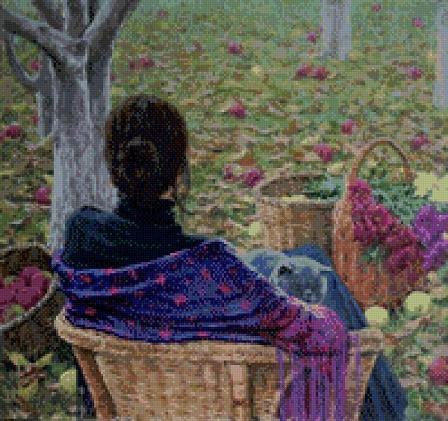 Но ведь астры опять в цвету!