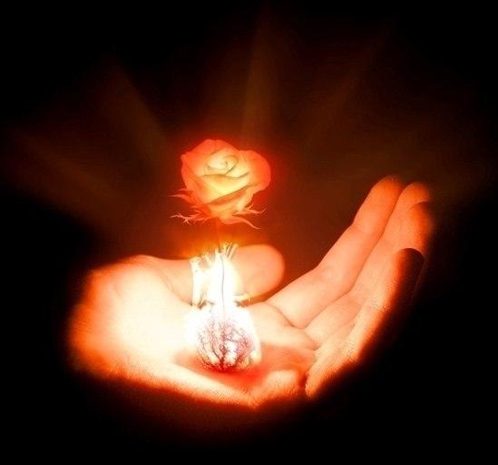 Сказка о волшебном цветке любви.