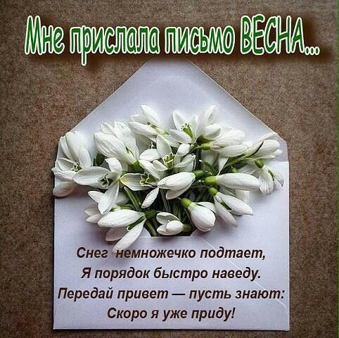 С приветом к вам-- Весна