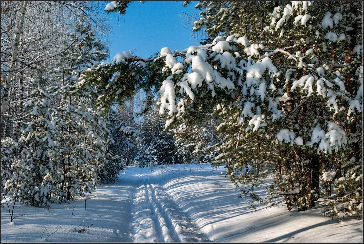 Зимняя сказка