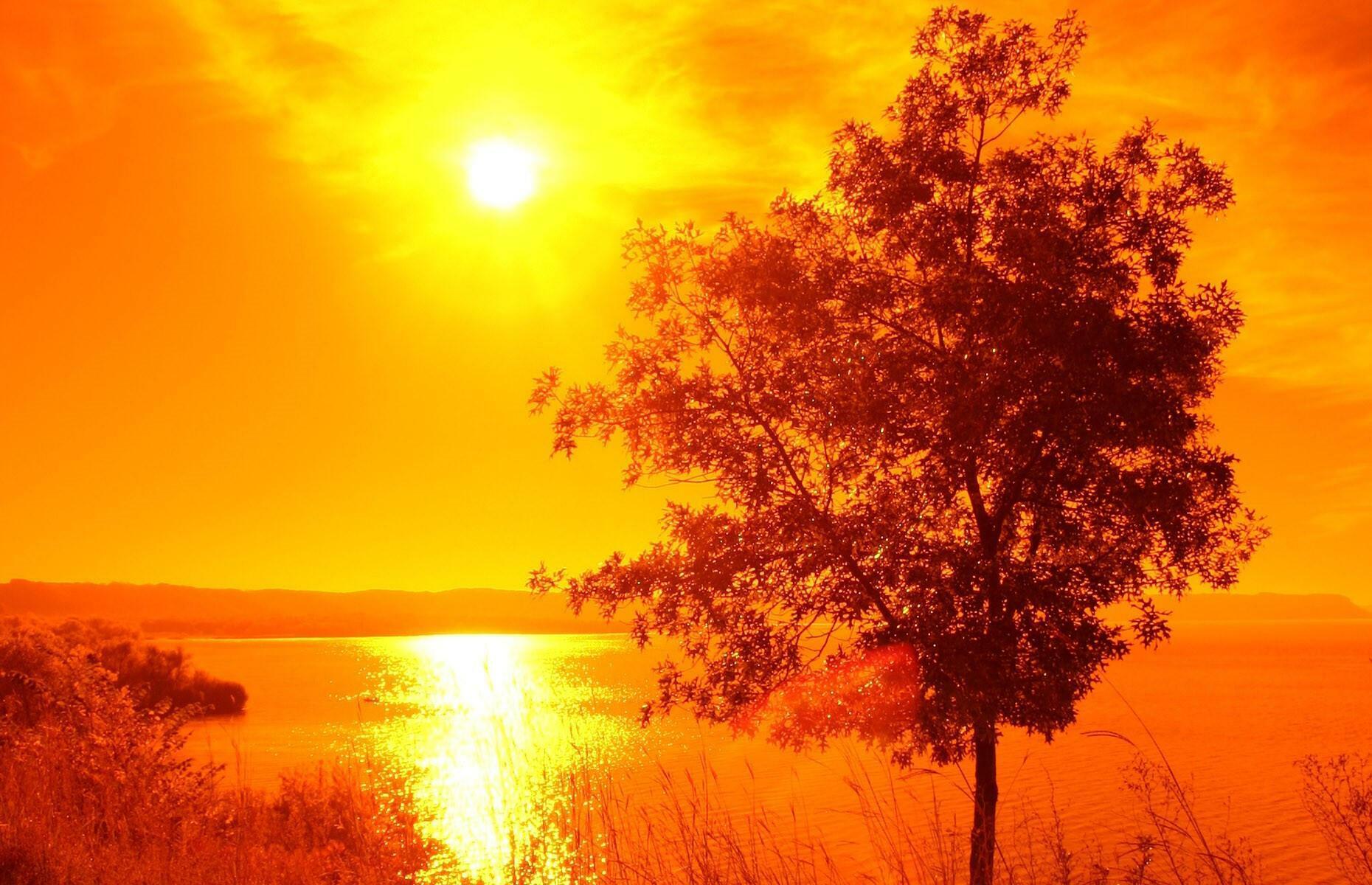 УСТАЛО  ЛЕТО  ОТ  ЖАРЫ