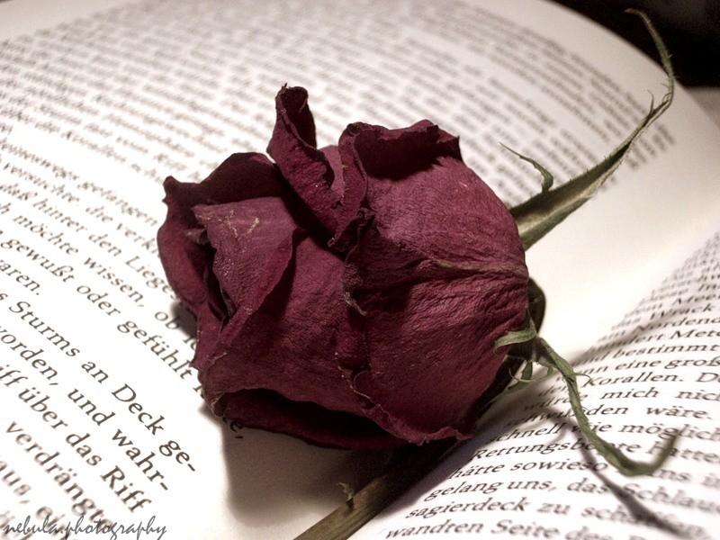 Оковы любви.