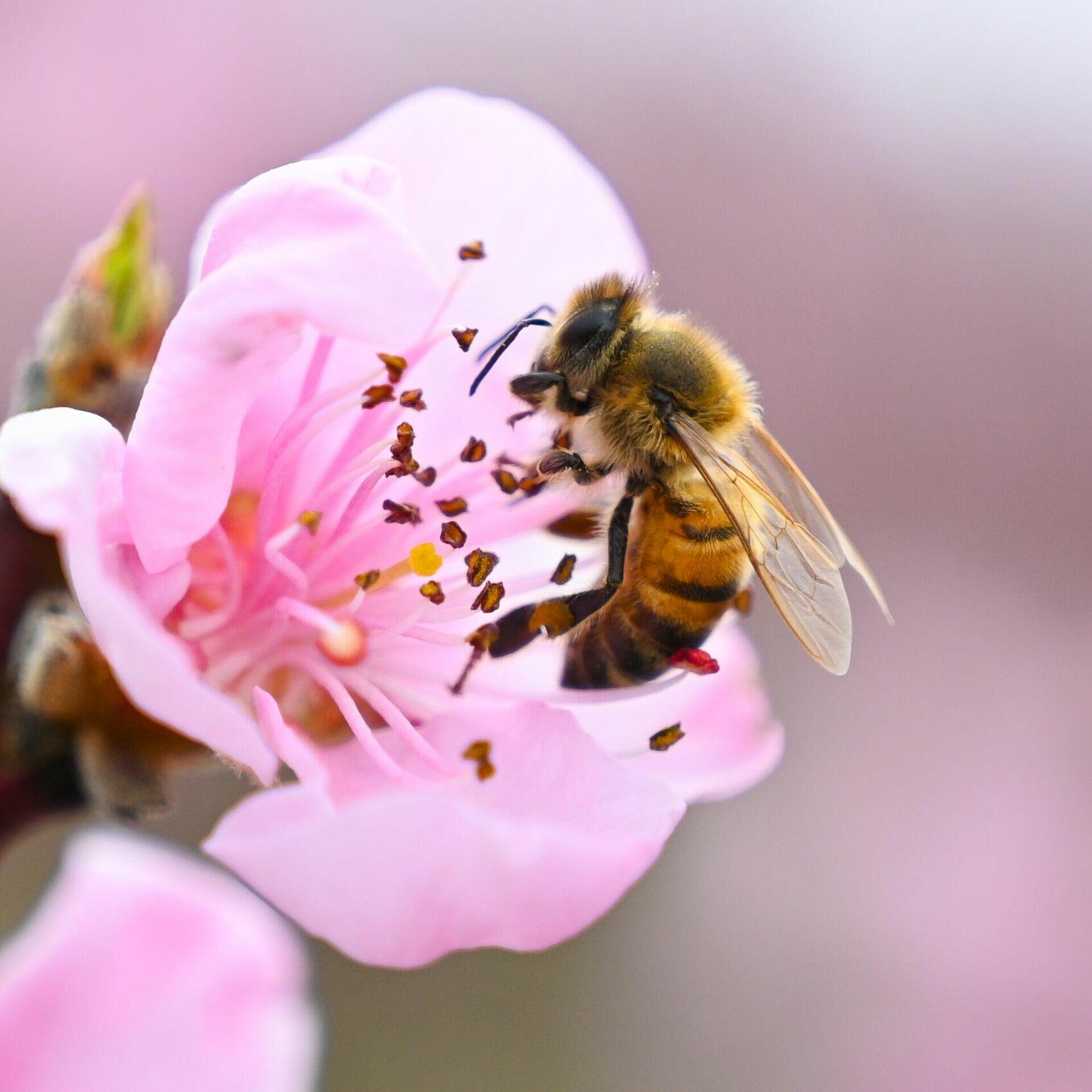 ПОБЕДНЫЙ МАЙ ТЕБЯ МЫ ОЖИДАЕМ