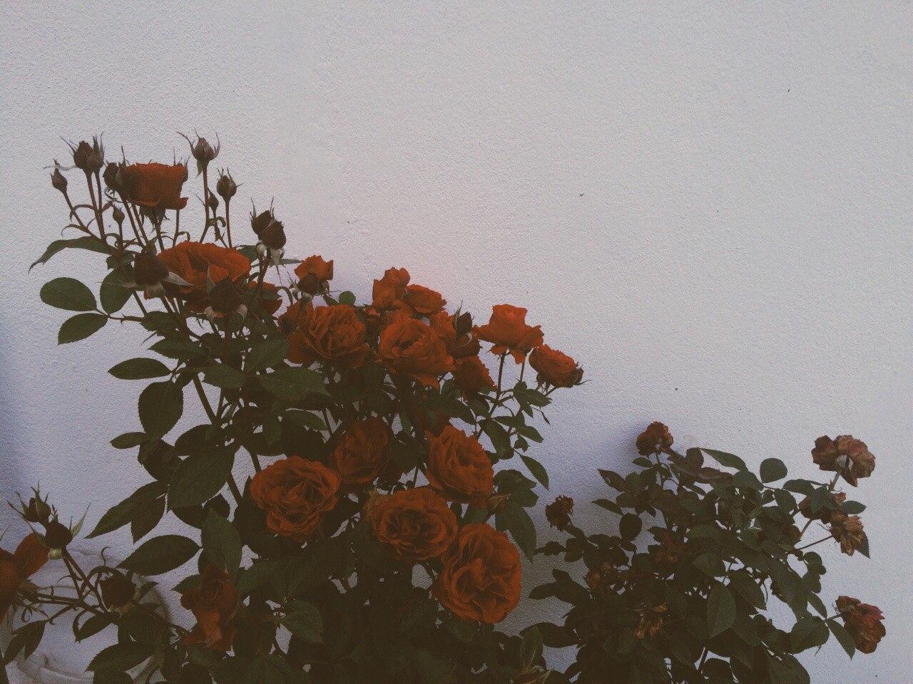 к сожалению.