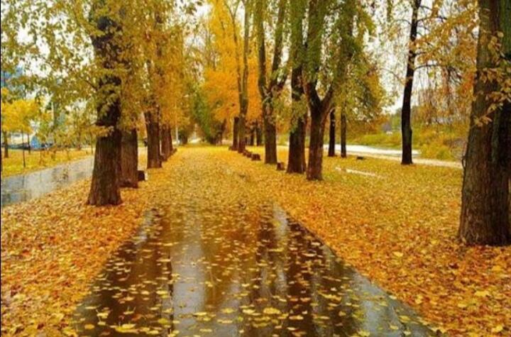 Сново.. Осень