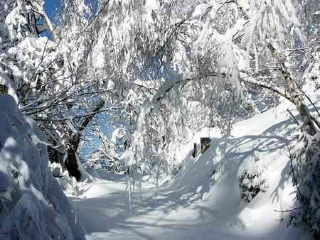 Зимний день