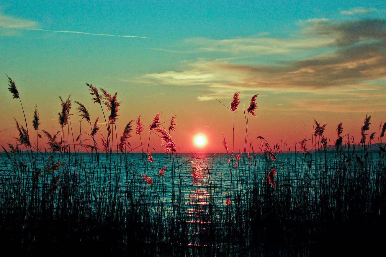 ОТПУСТИМ  НЕПРИЯТНОСТИ  НА  ВОЛЮ - (а к р о)