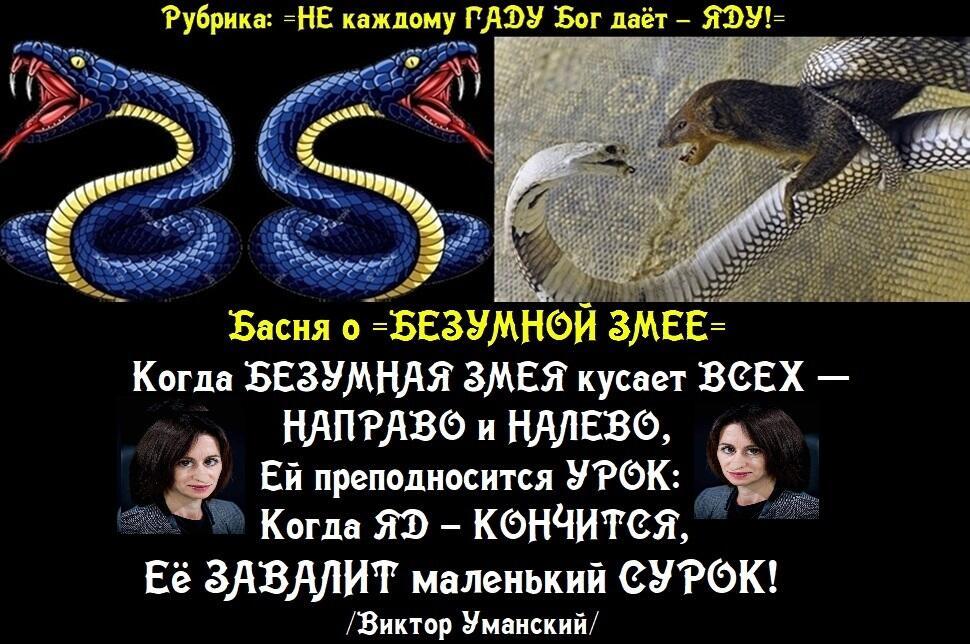 Басня о =БЕЗУМНОЙ ЗМЕЕ=