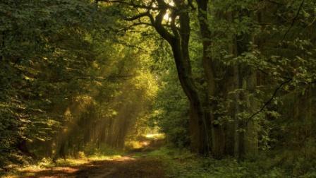 Предосеннее