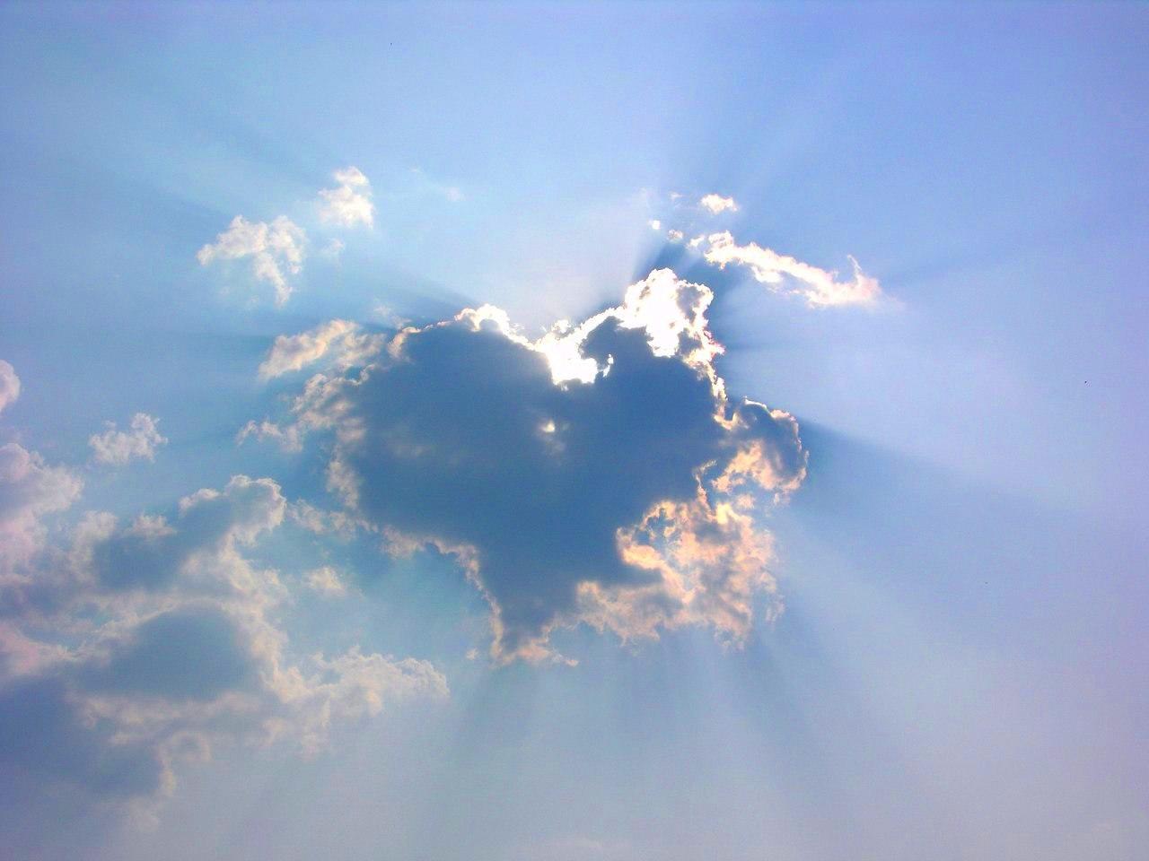 "Просвети" (26.12.2017)