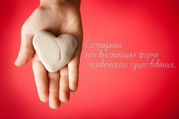 Наше безразличие...