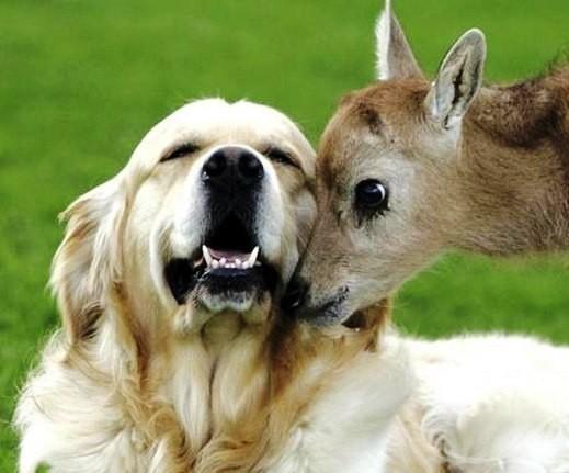 Доверительные отношения