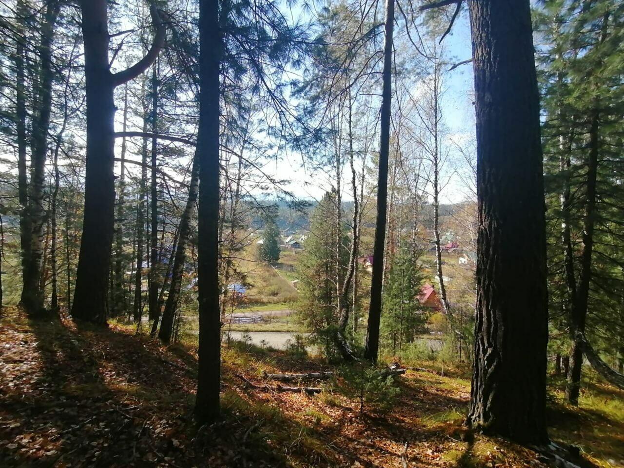 Последнее тепло