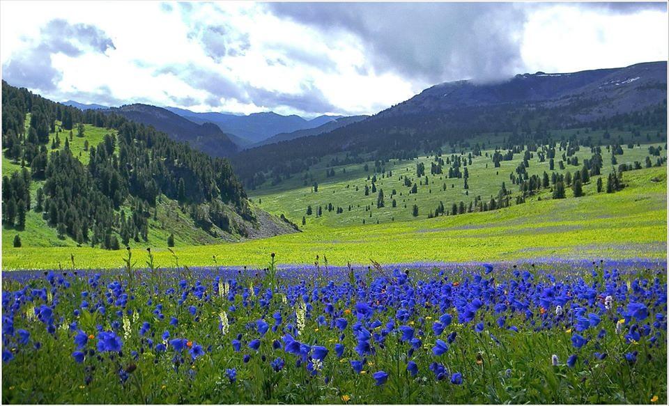 Подари мне кусочек тепла...