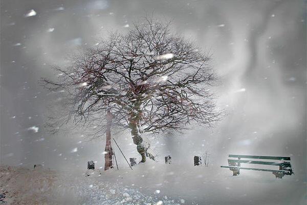 солнце вижу редко я теперь