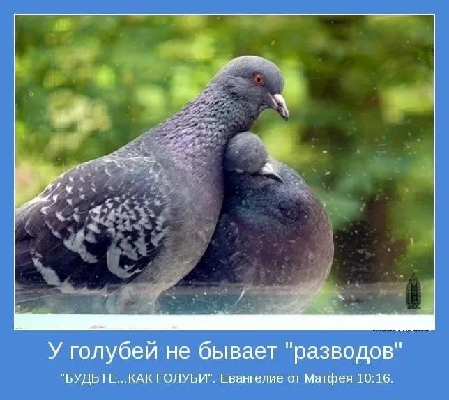 В парке. (18+)