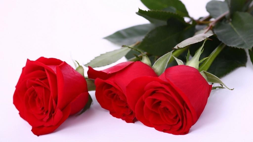 Память.-Всем,кто терял близких