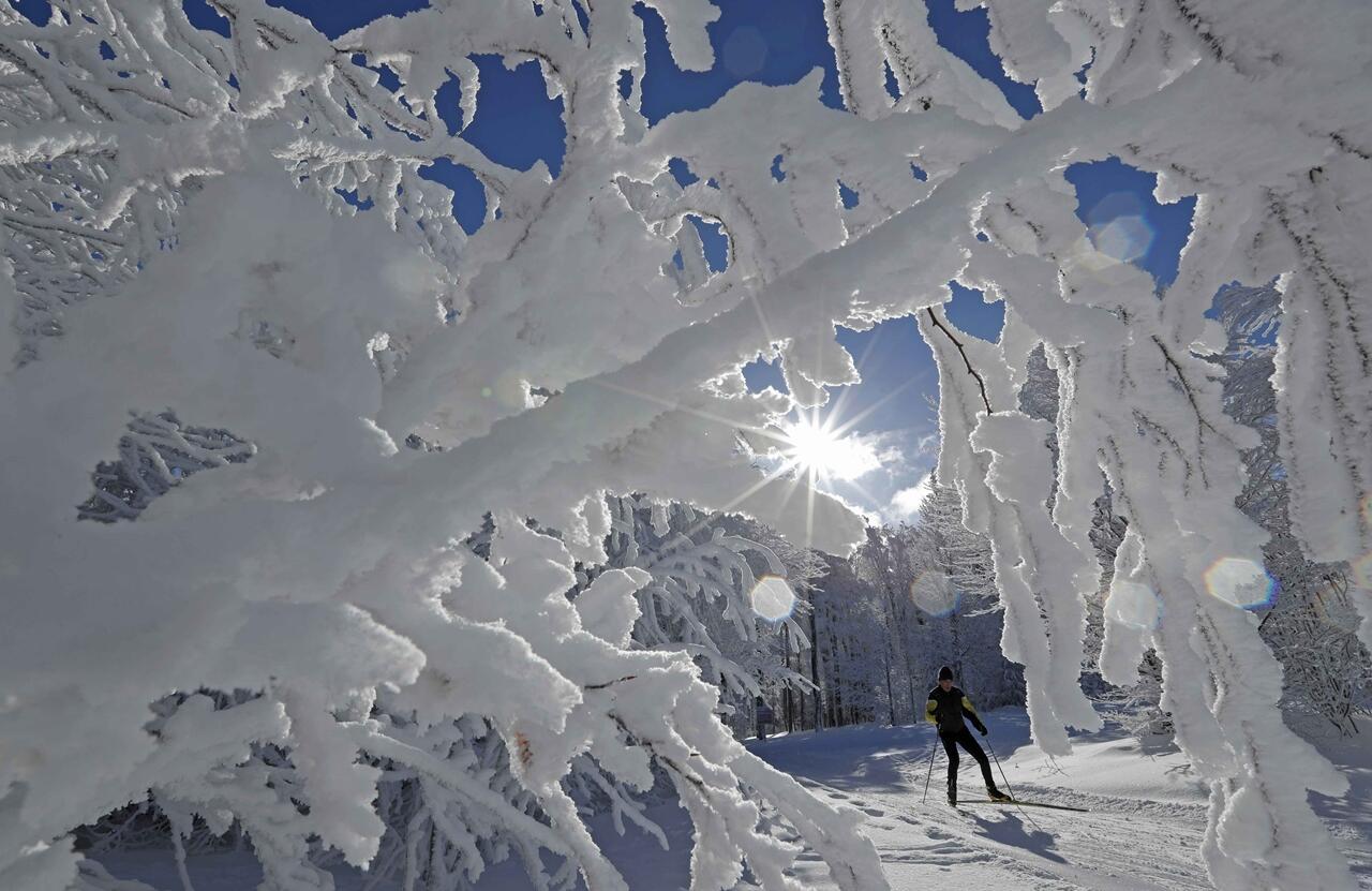 Ответ поэту - Медведь Белый - СТАРАЙСЯ