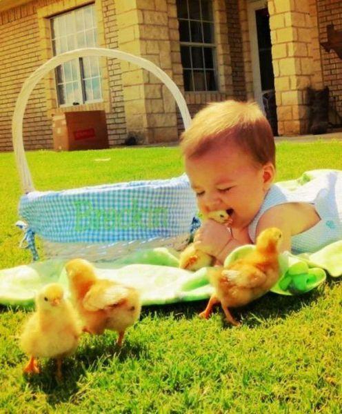 Путешественник.