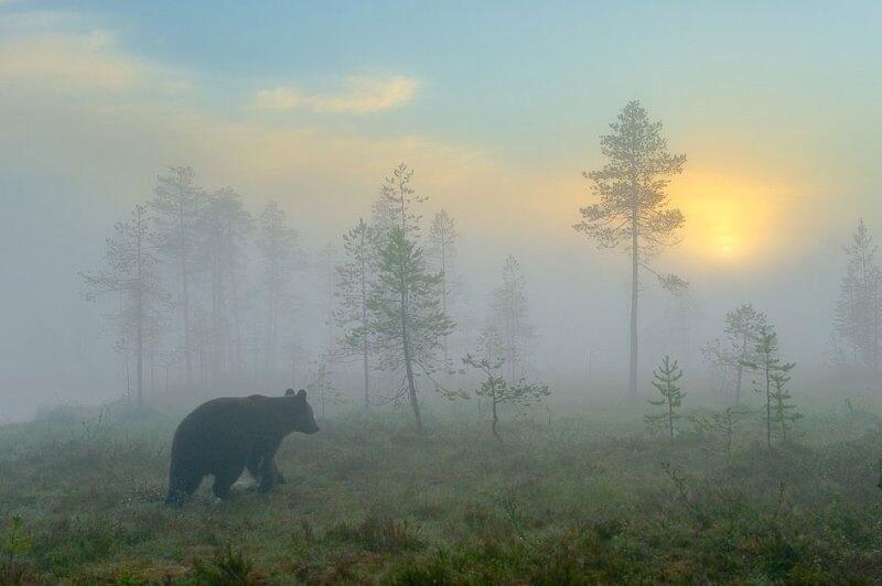 М.В.Л. 