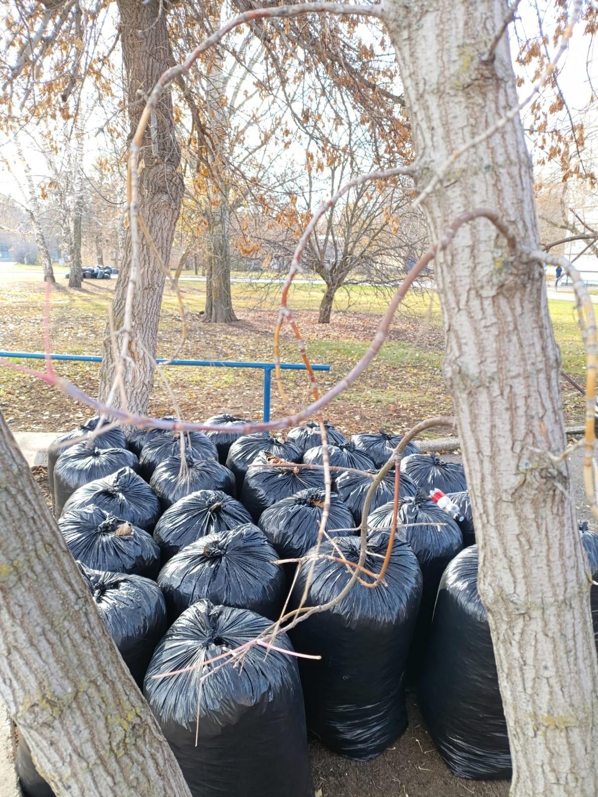 НА ОКТЯБРЬСКИХ БУЛЬВАРАХ