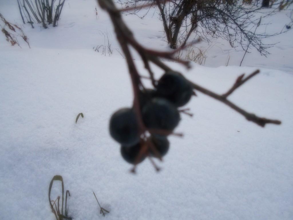 свет погас...