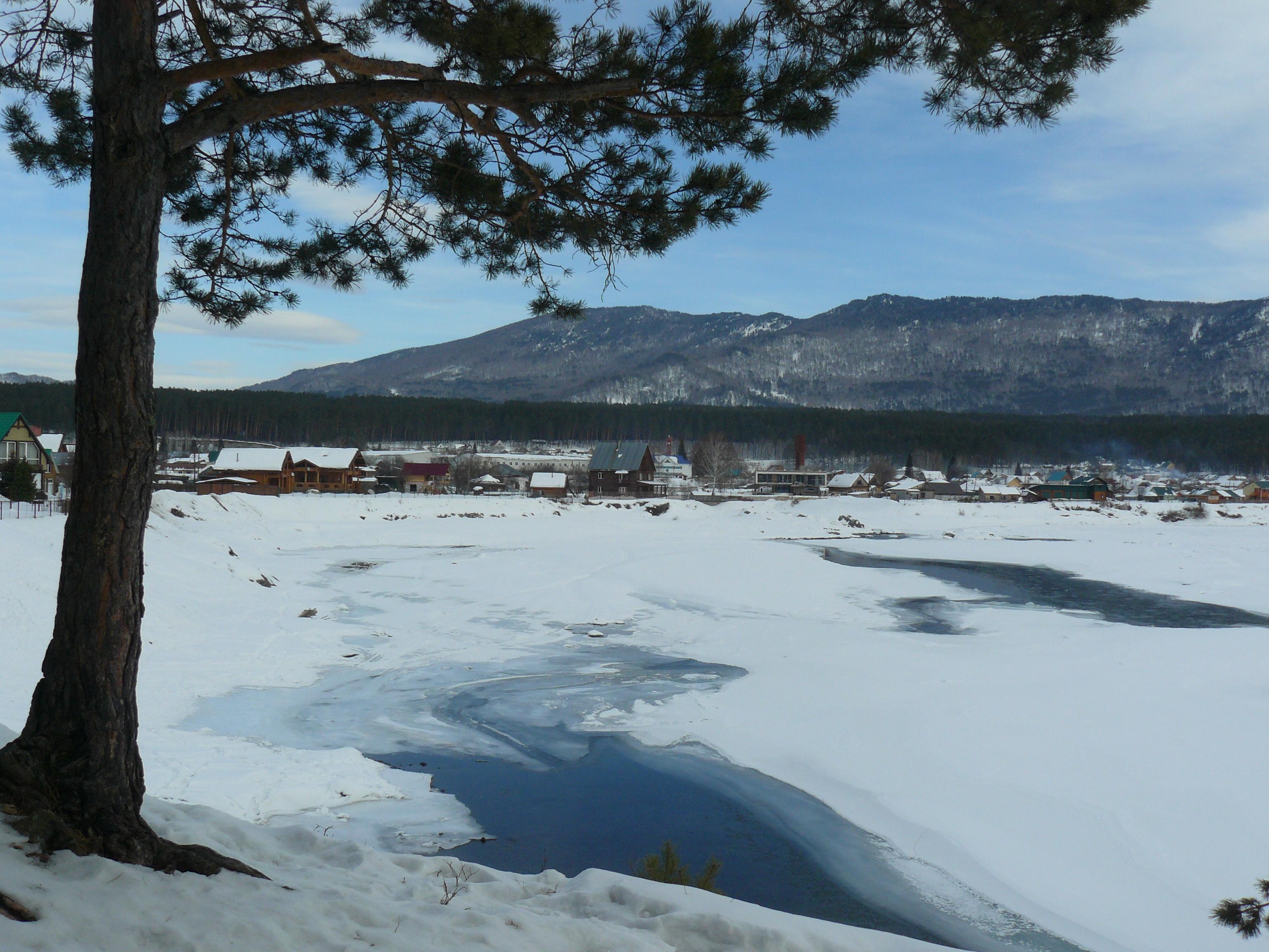 День поэзии   - конкурс.))