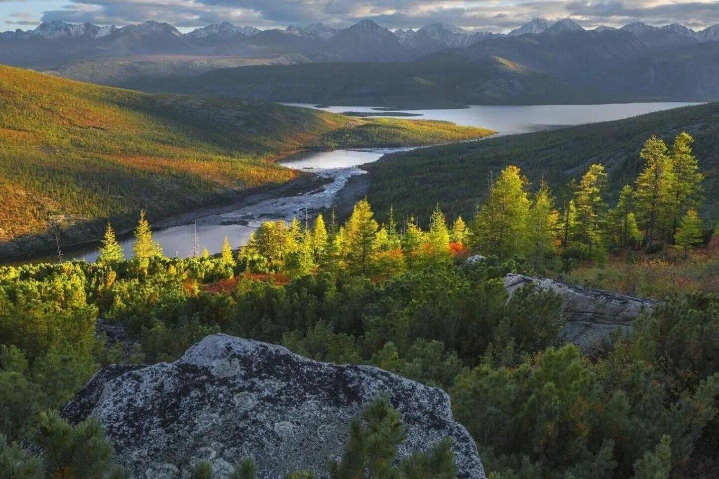 Опять в прозрачной тишине....