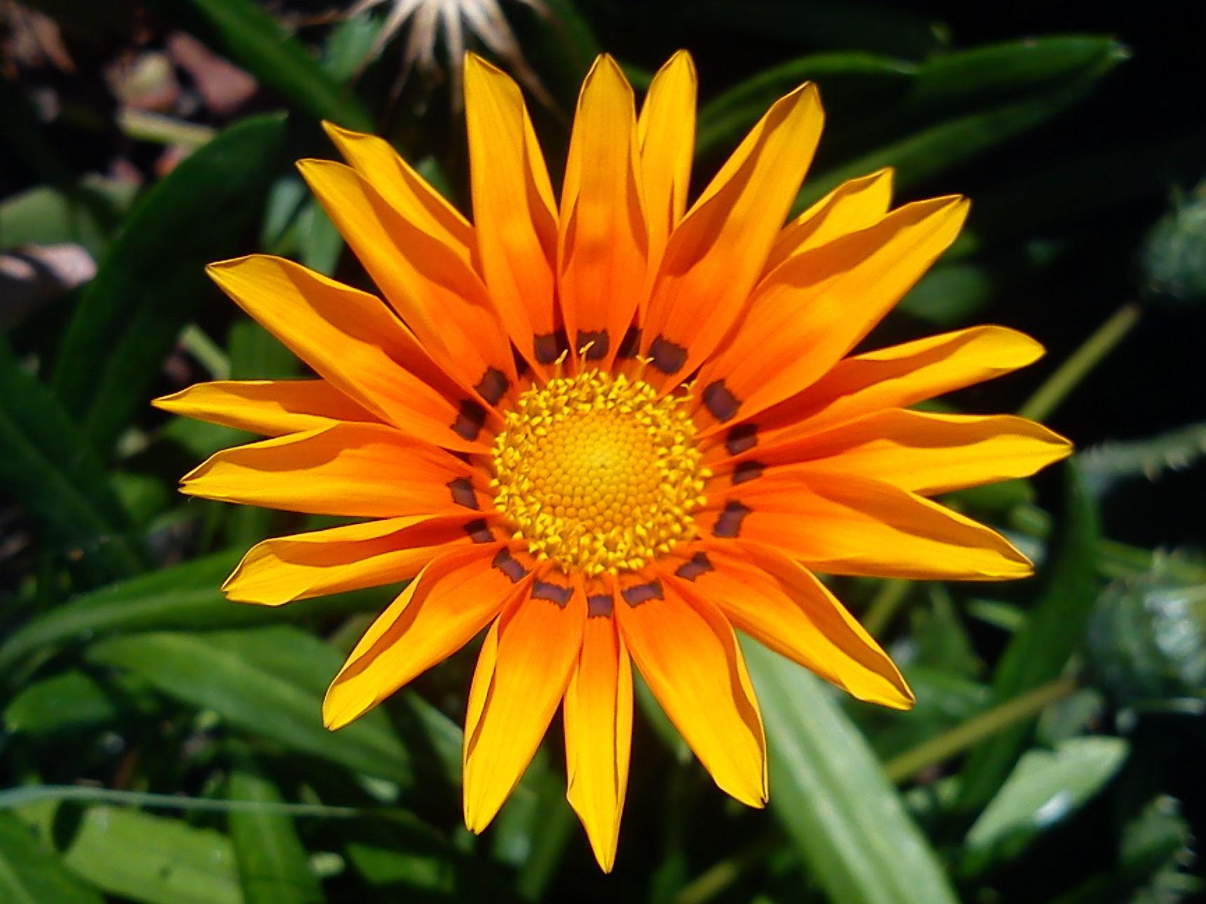 Притчи, глава 11 - перевод с иврита