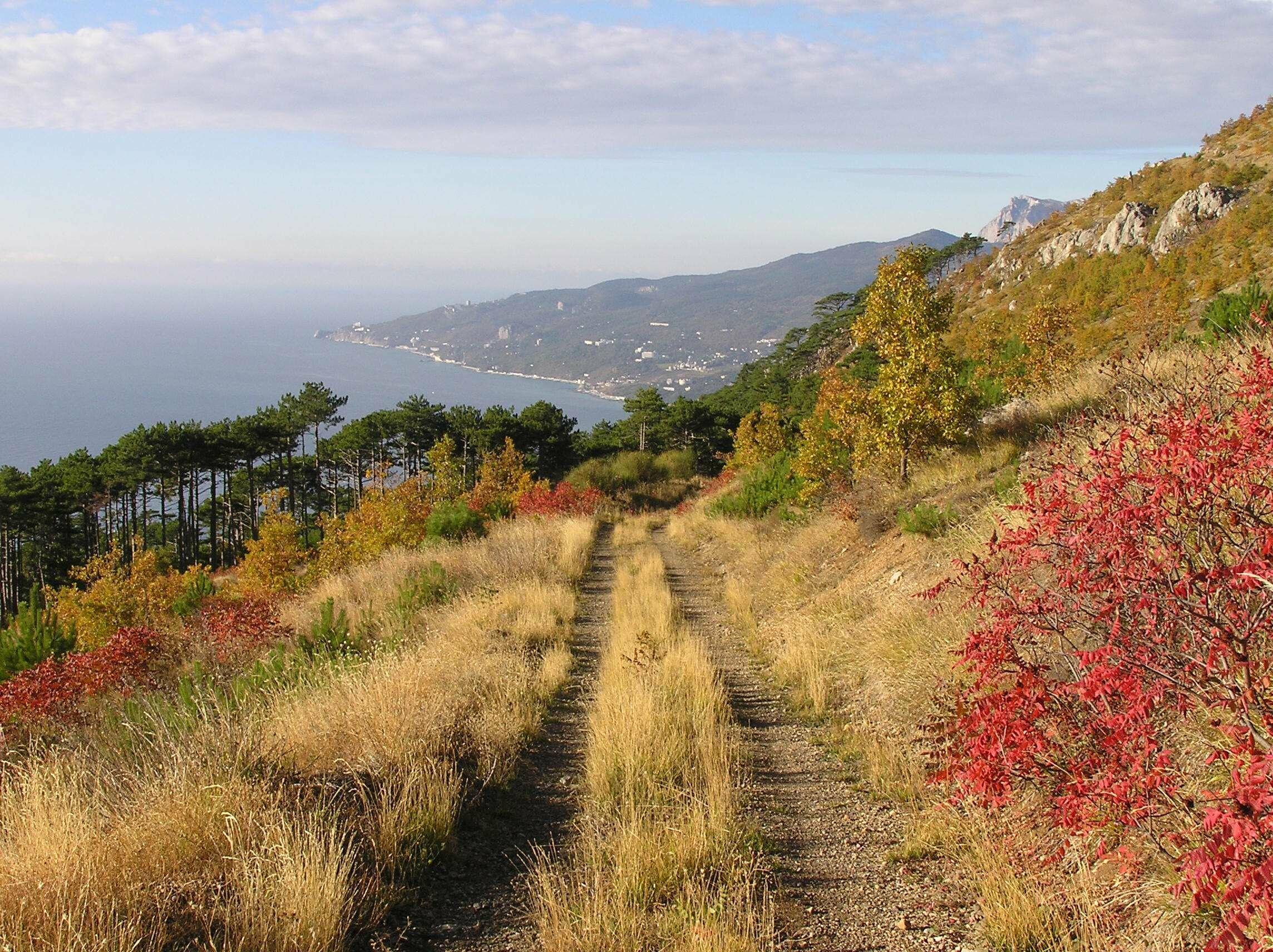 О  БУДНЯХ И  ПРАЗДНИКАХ  НАШИХ...  (  С  МАРГАРИТОЙ  МИНКЕВИЧ )