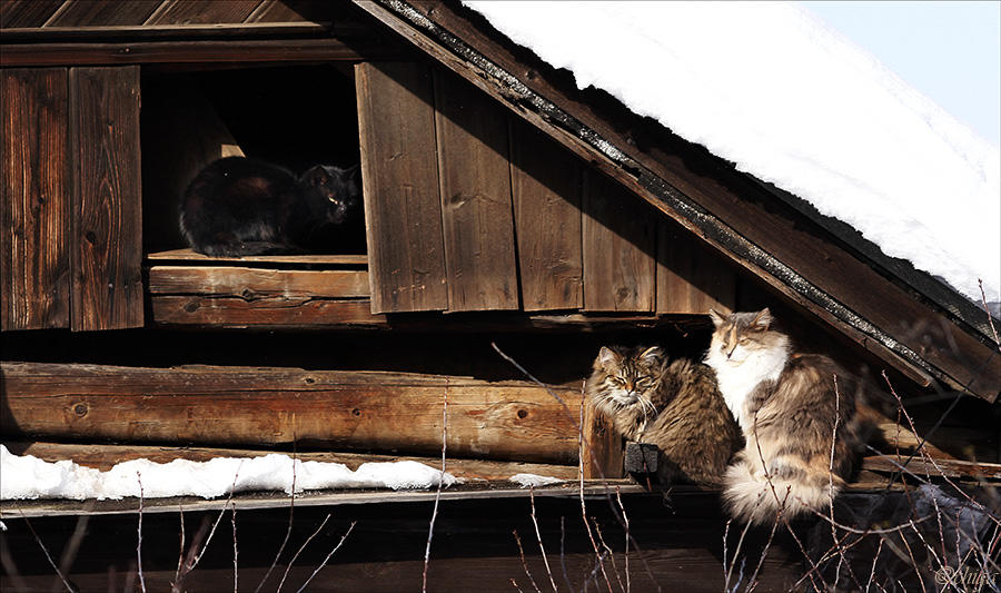 ВСЕ, КАК ПРЕЖДЕ?