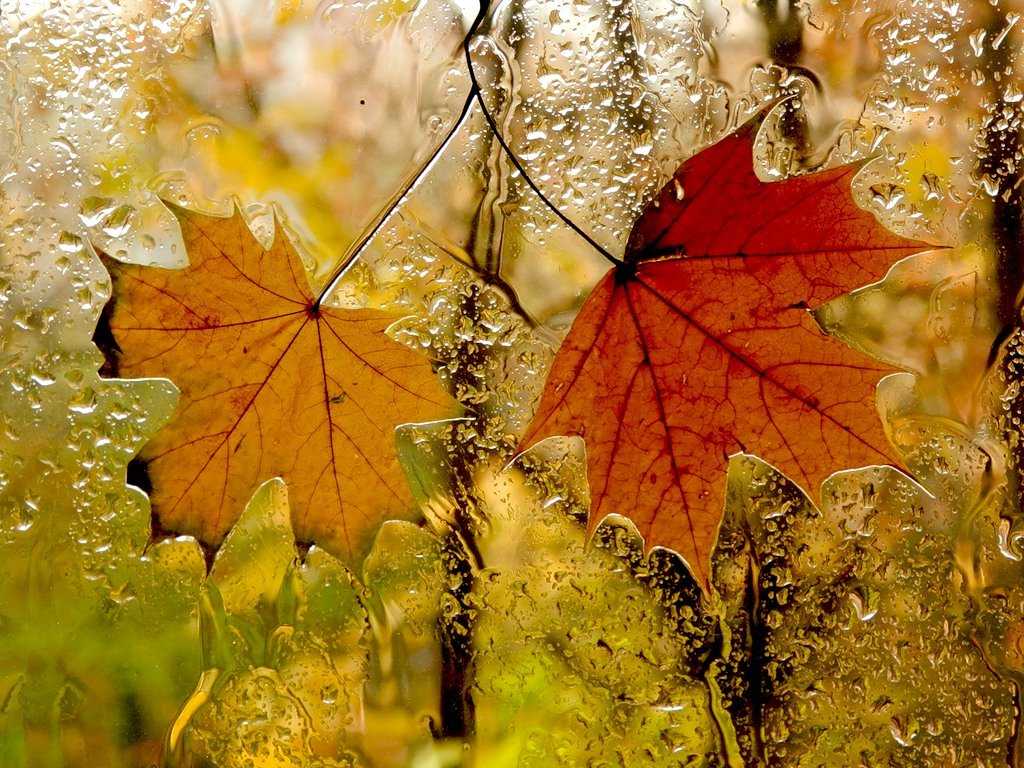 Осень, - вечное диво...