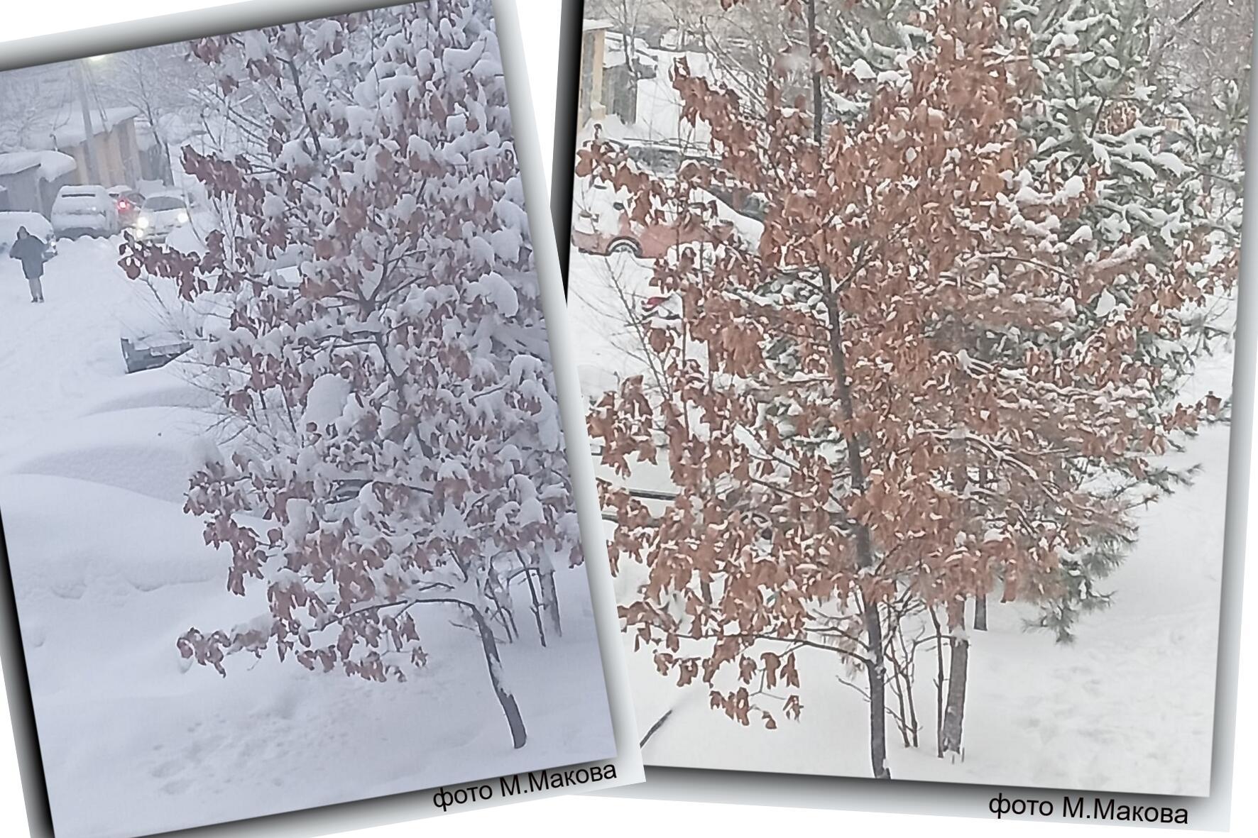 СТРАННОСТИ