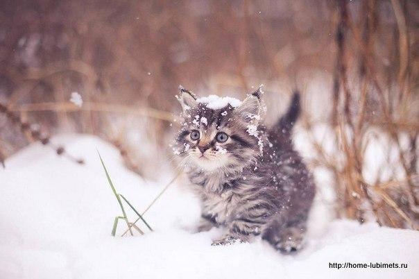 Зима украла всё тепло
