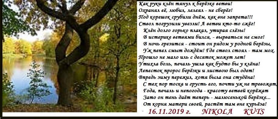 Клён тень даёт малюсенькой берёзке