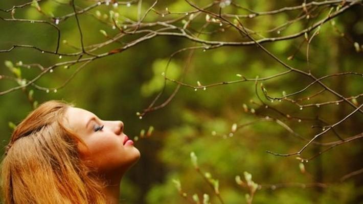 Весенняя свежесть