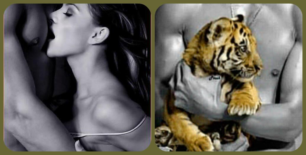 За каждым днём приходит ночи тишина, Галинка Багрецова + Трианон