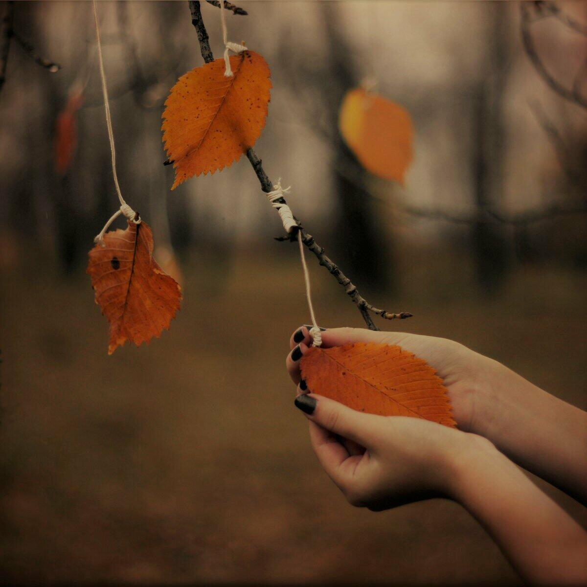 Листек. Осенняя печаль. Осень грусть. Грустная осень. Осеннее настроение.