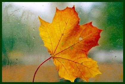 ВЕРЛИБР-АНАЦИКЛ