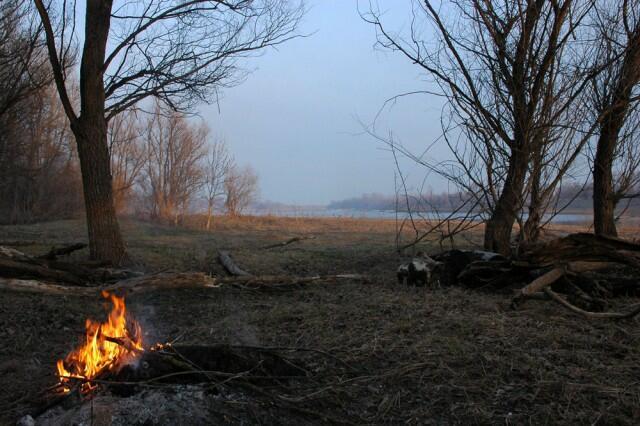 В туманах скрылась осень-златовласка