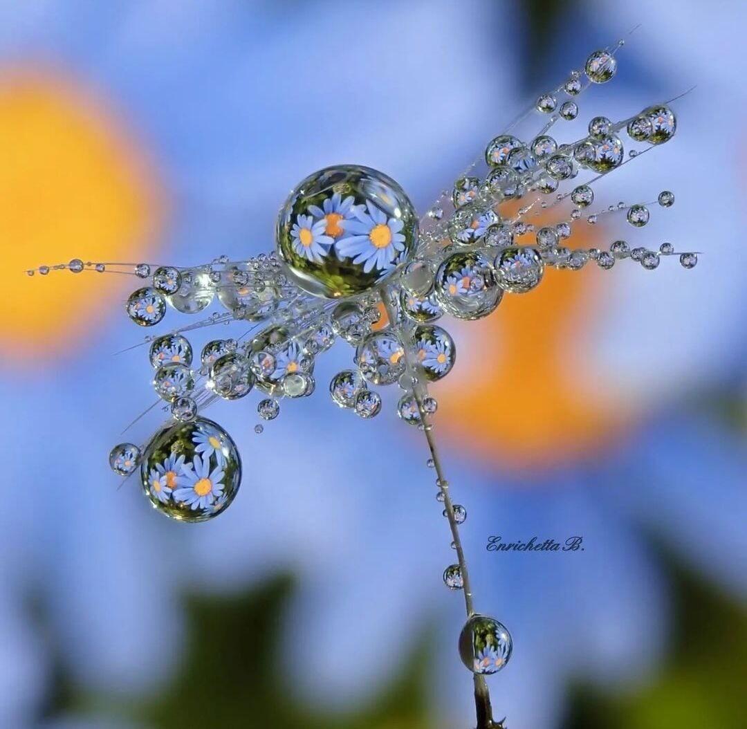 ВОЛШЕБНЫЕ  КАПЛИ  ТУМАНА