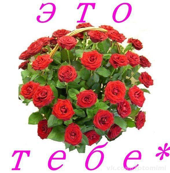 Тебе спасибо.